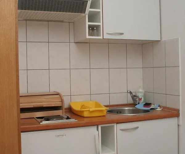 4494d דירה אורביץ