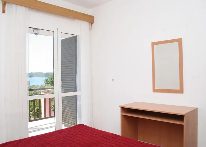 4494d * אורביץ